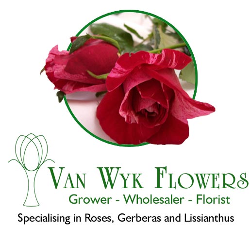 Grower, Wholesaler Florist, specialising in Roses, Gerberas and Lissianthus Van Wyk Flowers